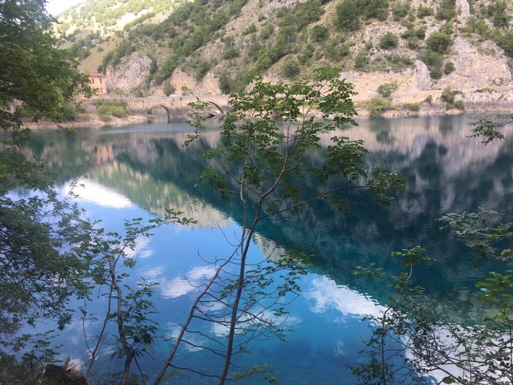 vista lago con montagna e alberi