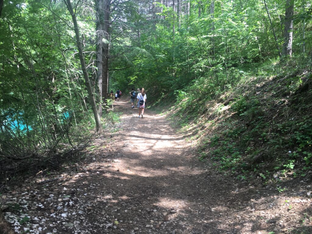 percorso sentiero bosco con persone