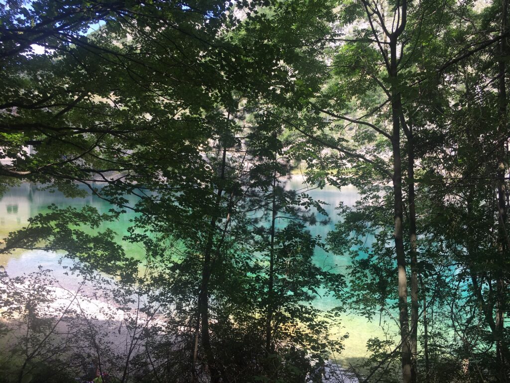 lago con alberi