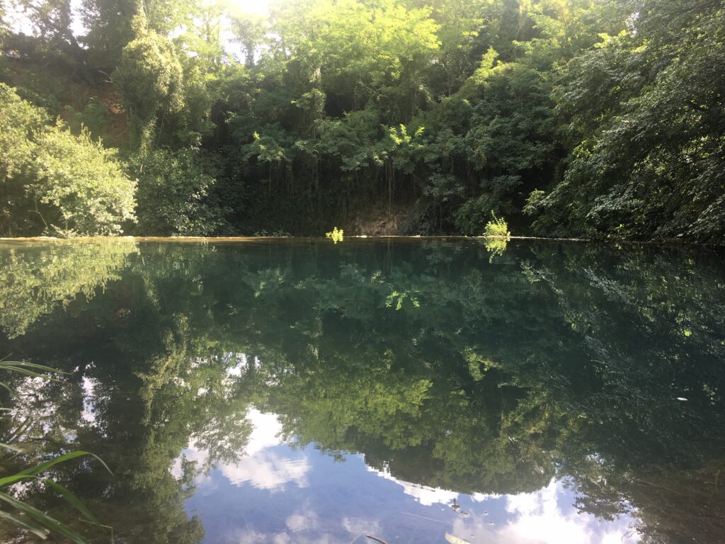 lago formato dal fiume con bosco