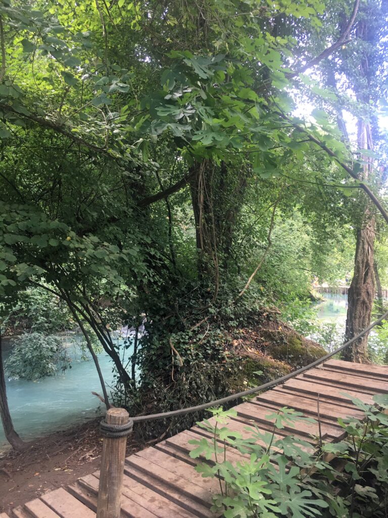 ponte legno su fiume percorso