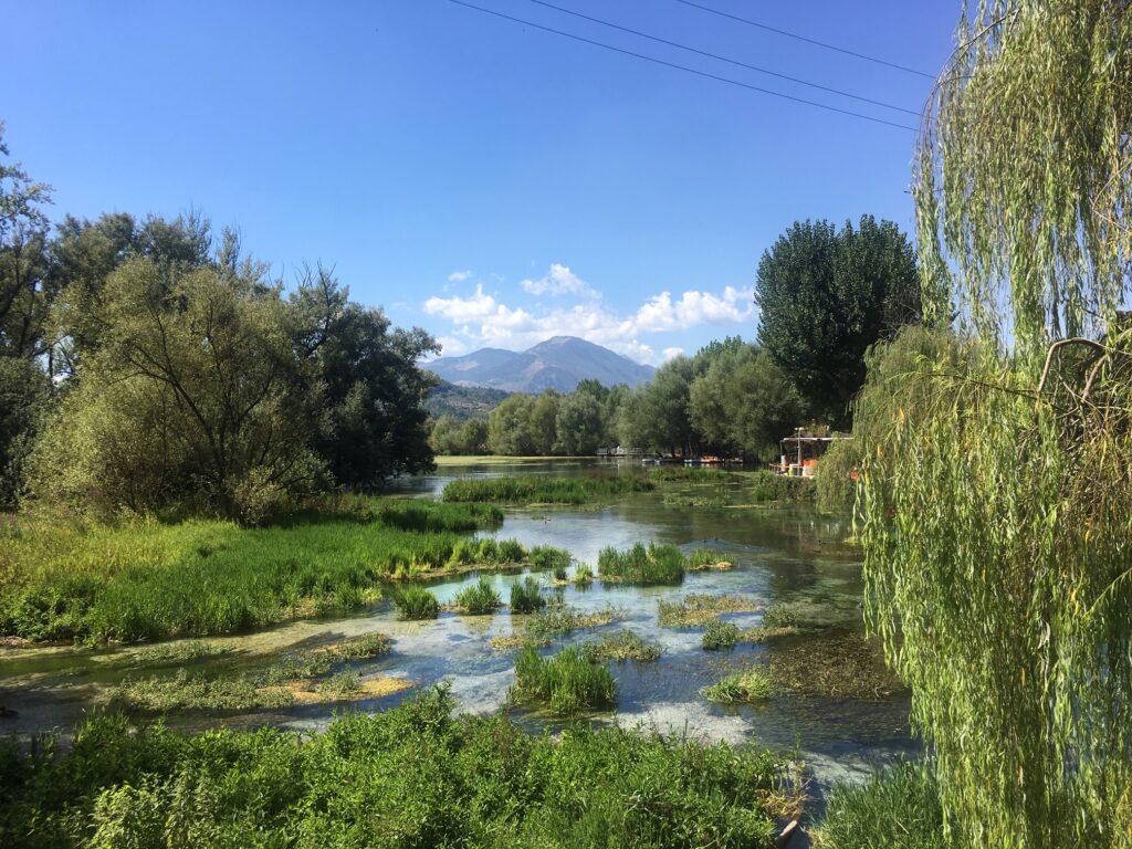 lago e vegetazione con alberi