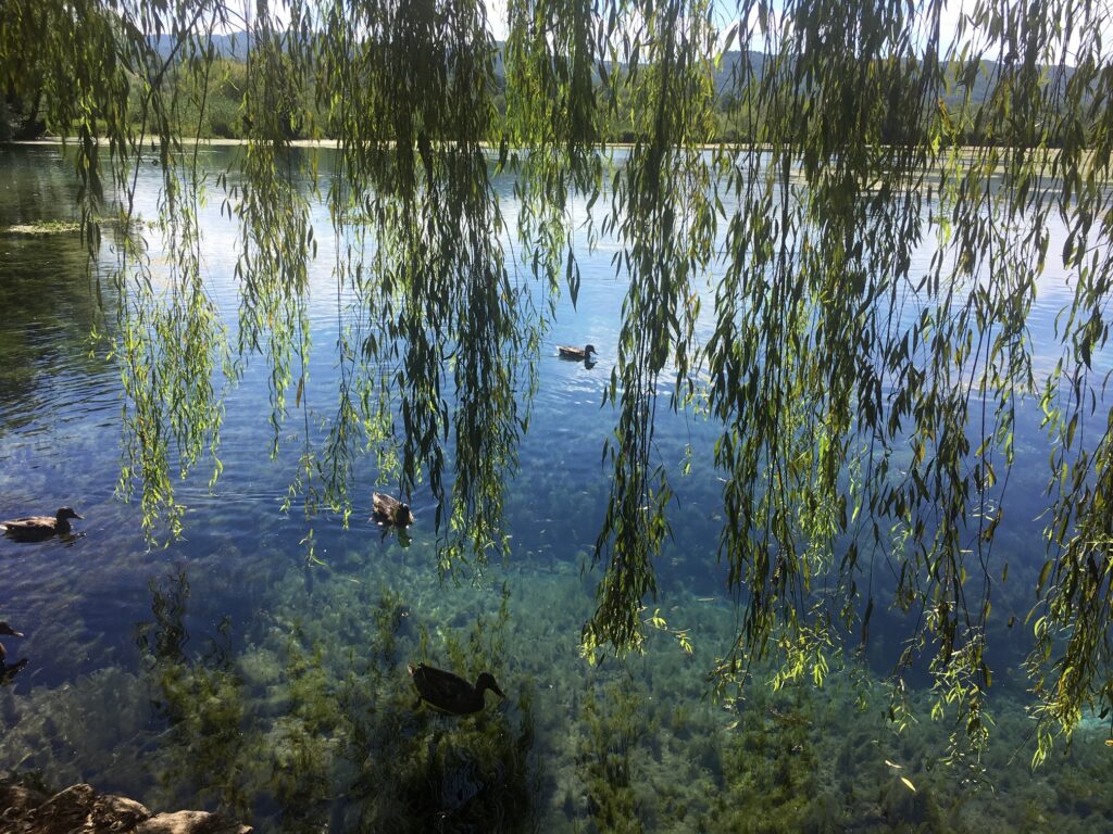 lago posta fibreno con vegetazione