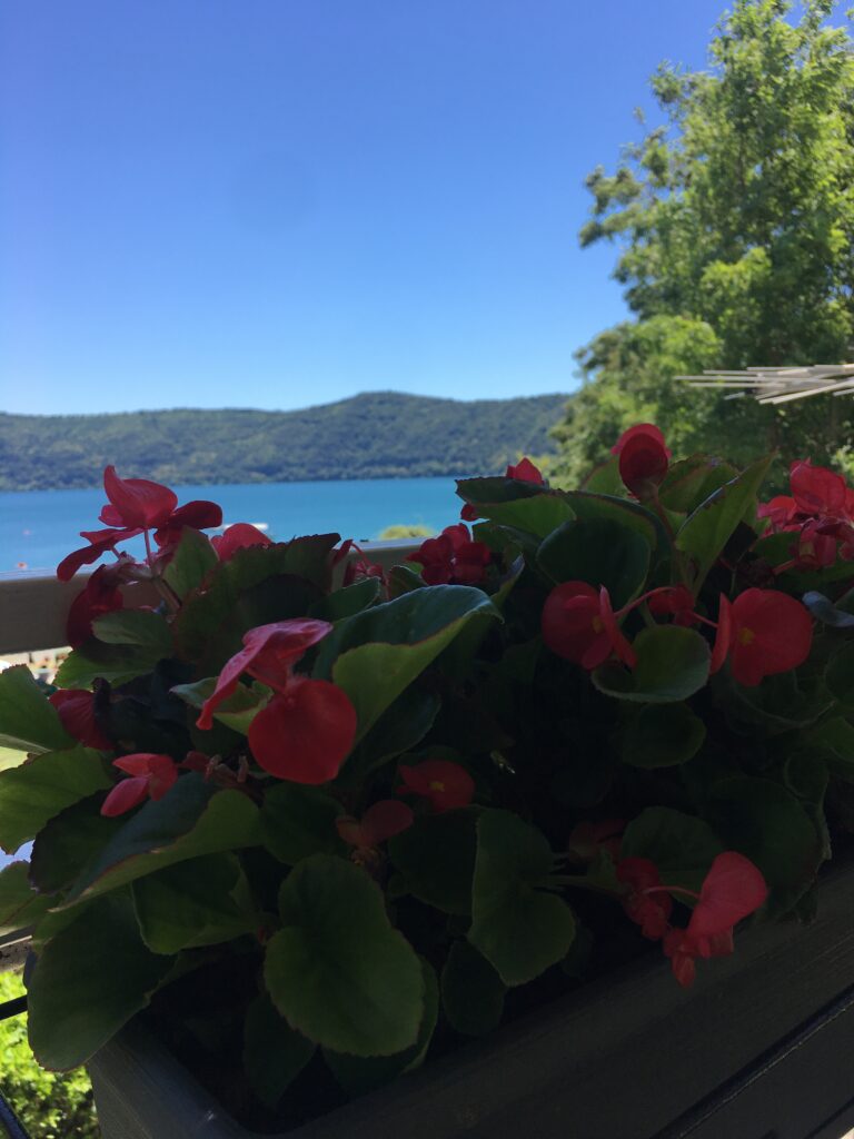 fiori e vista lago