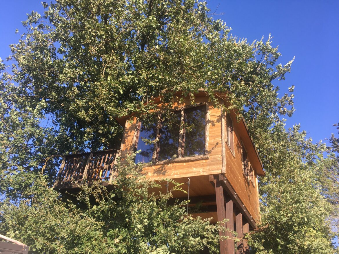 albero casa casa albero